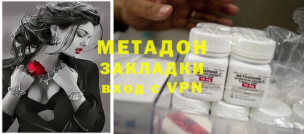 индика Алексин
