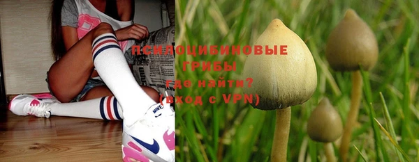 индика Алексин