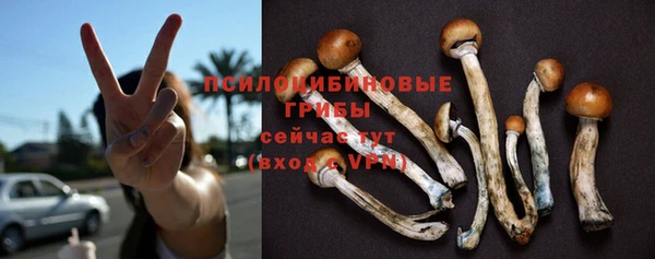 ГАЛЛЮЦИНОГЕННЫЕ ГРИБЫ Алзамай