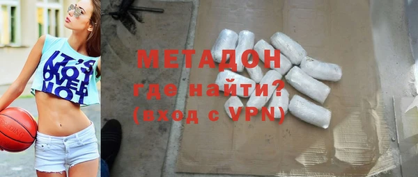 индика Алексин