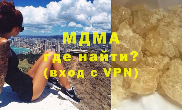 индика Алексин