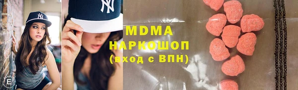 индика Алексин
