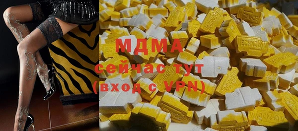 индика Алексин