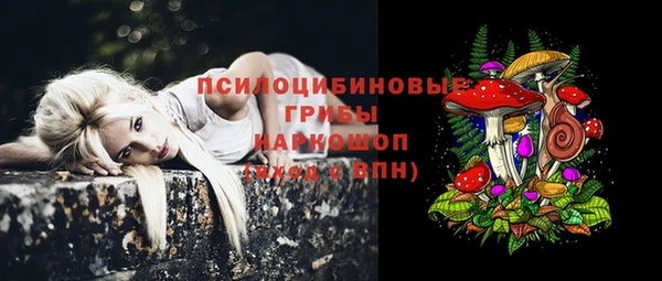 ГАЛЛЮЦИНОГЕННЫЕ ГРИБЫ Алзамай