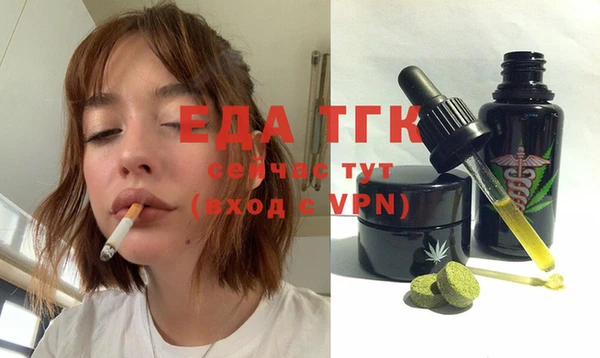 индика Алексин