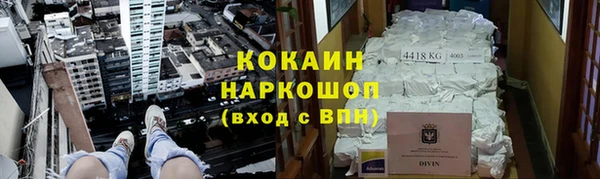 ГАЛЛЮЦИНОГЕННЫЕ ГРИБЫ Алзамай