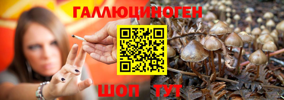 Псилоцибиновые грибы Psilocybine cubensis  Псилоцибиновые грибы Magic Shrooms  Вход с VPN  Самара 